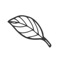 Hand drawn leaf. Doodle. Ecology concept. Isolated on white background. Vector illustration.