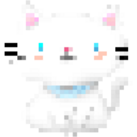 The white cute cat png