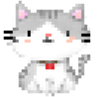 The white and grey cute cat png