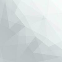 abstract white and gray polygonal background vector