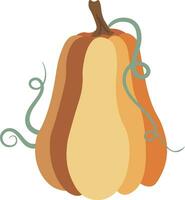 Autumn Pumpkin isolated Vector illustration on white background