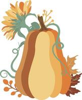 Autumn Pumpkins Sunflowers compositions isolated Vector illustration on white background