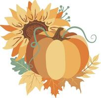 Autumn Pumpkins Sunflowers compositions isolated Vector illustration on white background