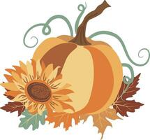 Autumn Pumpkins Sunflowers compositions isolated Vector illustration on white background