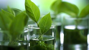 Biotechnology concept with green plant leaves, laboratory glassware, and conducting research, illustrating the powerful combination of nature and science in medical advancements.  AI Generative photo