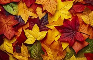 Background of autumn leaves. Autumn background. Generative AI photo