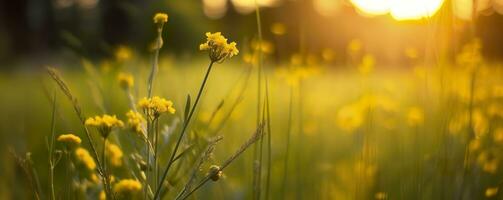 Tranquil spring summer nature closeup and blurred forest background. Generative AI photo