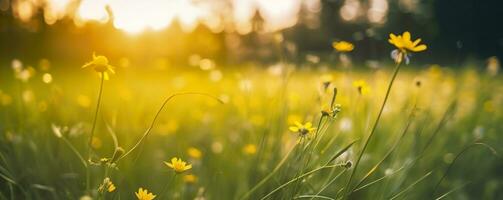 Tranquil spring summer nature closeup and blurred forest background. Generative AI photo