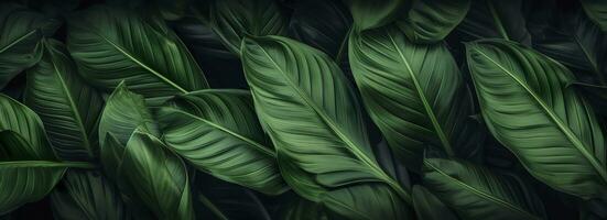 Abstract green leaf texture with nature background, tropical leaf. Generative AI photo