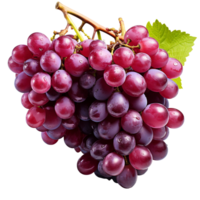 Grapes isolated on transparent background, created with generative AI png