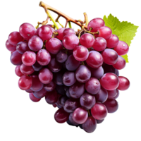 uvas aislado en transparente fondo, creado con generativo ai png