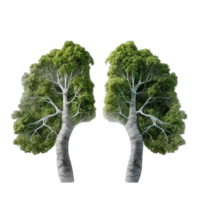 Lungs made of trees isolated on transparent background, created with generative AI png