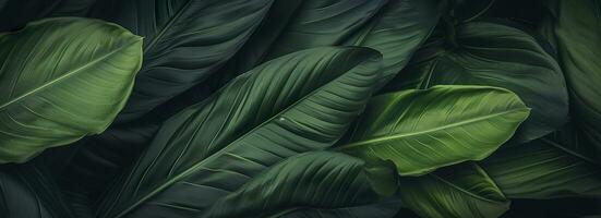 Abstract green leaf texture with nature background, tropical leaf. Generative AI photo