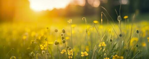Tranquil spring summer nature closeup and blurred forest background. Generative AI photo