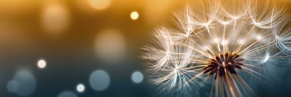 Abstract blurred nature background dandelion seeds parachute. Bokeh pattern. Generative AI photo