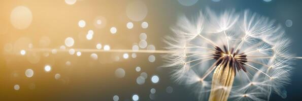 Abstract blurred nature background dandelion seeds parachute. Bokeh pattern. Generative AI photo