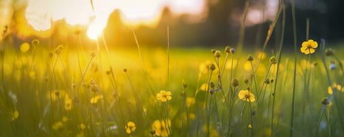 Tranquil spring summer nature closeup and blurred forest background. Generative AI photo