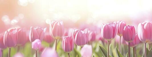 Beautiful pink Tulip on a blurred spring sunny background. Generative AI photo