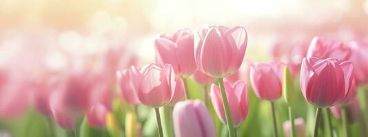 Beautiful pink Tulip on a blurred spring sunny background. Generative AI photo