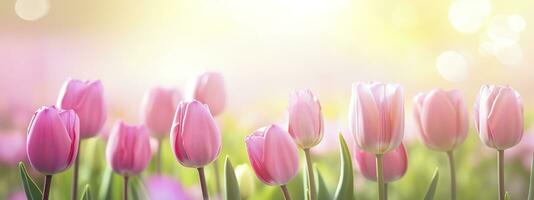 Beautiful pink Tulip on a blurred spring sunny background. Generative AI photo
