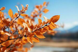 Breathtaking seasonal view autumn tree leaves and a clear sky form the landscape AI Generated photo