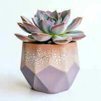 Graptoveria in a terracotta hexagonal pot with a speckled pattern in shades of purple AI Generated photo