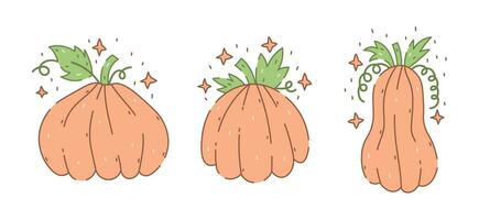 Cute pumpkins doodle set vector