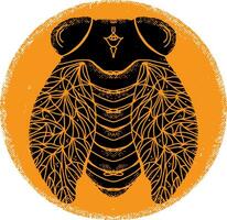 a black and orange insect with a pattern on it vector