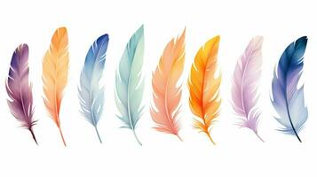 Colorful watercolor bird feathers set. Watercolor illustration on a white background. photo