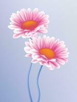 Vector hand painted pink flowers
