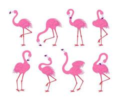 flamingo♡ The Original Featherstone Flamingo, Set of 2 - Walmart.com