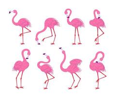 Cartoon Characters Cute Pink Flamingos Set. Vector