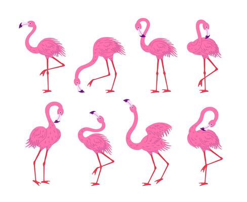 flamingo♡ cartoon-characters-cute-pink-