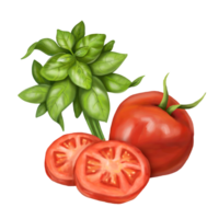 A composition of fresh red tomatoes, ripe basil leaves and black pepper. Digital illustration. For packaging design, postcards, prints, banners, textiles, printing. png