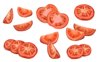 A large set of sliced tomatoes. Slices, triangles, halves. Digital illustration. Applicable for packaging design, postcards, prints, textiles png