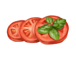 A composition of slices of red tomato with a sprig of basil. Digital illustration. For compositions, prints, stickers, posters. png