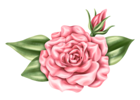 An elegant composition of pink roses and leaves in watercolor style. Digital illustration. For invitations, date saving, gratitude or greeting card. png