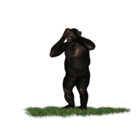 chimpanzee isolated 3d png