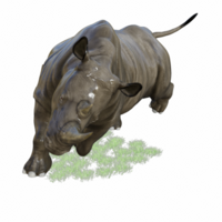 rhinocéros isolé 3d png