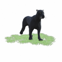 schwarz Panther isoliert 3d png