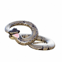 serpente isolado 3d png