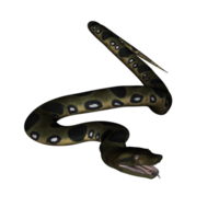 serpente isolado 3d png