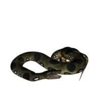 serpiente aislado 3d png