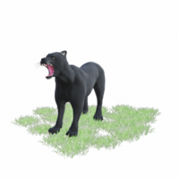 Black panther isolated 3d png