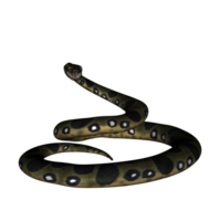 serpente isolato 3d png