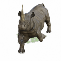 rinoceronte isolato 3d png