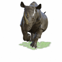 rinoceronte aislado 3d png