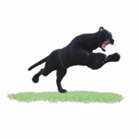 schwarz Panther isoliert 3d png