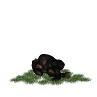 chimpancé aislado 3d png