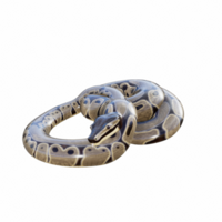 serpente isolado 3d png